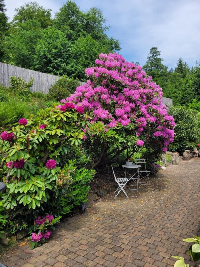 Gaestezimmer Haus Talblick Lautenthal Buitenkant foto